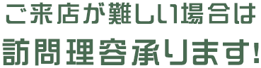 lp_visit_tit